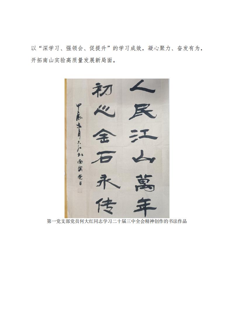 2024.11.29深學習、強領(lǐng)會、促提升南山實驗黨委組織開展黨員干部及全體黨員學習貫徹黨的二十屆三中全會精神專題培訓_04.jpg